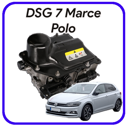 Meccatronica DSG 7 marce Polo Revisione e servizi